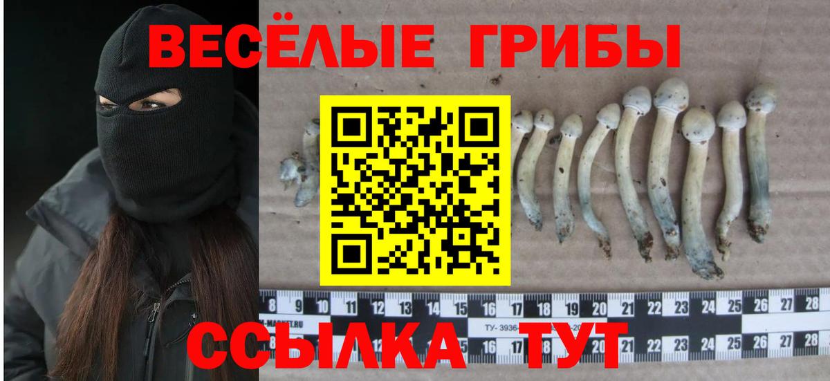 Галлюциногенные грибы Psilocybe Трёхгорный